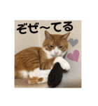 きーちゃん第2段（個別スタンプ：31）