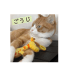きーちゃん第2段（個別スタンプ：32）