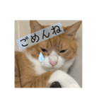 きーちゃん第2段（個別スタンプ：38）