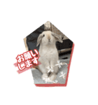 うさぎのととろうスタンプ2（個別スタンプ：9）