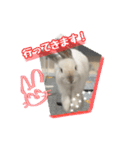 うさぎのととろうスタンプ2（個別スタンプ：11）