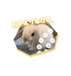 うさぎのととろうスタンプ2（個別スタンプ：12）