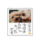 ききょう＆ポッケ（個別スタンプ：14）