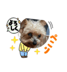 ききょう＆ポッケ（個別スタンプ：26）