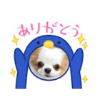 チワワからの日常メッセージ（個別スタンプ：9）