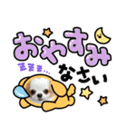 チワワからの日常メッセージ（個別スタンプ：14）