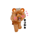 ノエたん♡6（個別スタンプ：12）