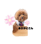 ノエたん♡6（個別スタンプ：15）