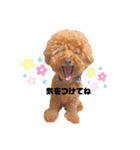 ノエたん♡6（個別スタンプ：25）