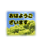 いつも使える言葉達 (2)（個別スタンプ：1）