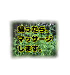 いつも使える言葉達 (2)（個別スタンプ：5）