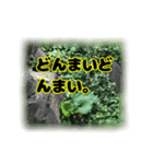 いつも使える言葉達 (2)（個別スタンプ：8）