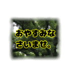 いつも使える言葉達 (2)（個別スタンプ：9）