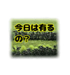 いつも使える言葉達 (2)（個別スタンプ：10）