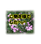 いつも使える言葉達 (2)（個別スタンプ：13）