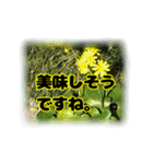 いつも使える言葉達 (2)（個別スタンプ：14）