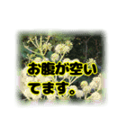 いつも使える言葉達 (2)（個別スタンプ：16）