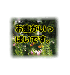 いつも使える言葉達 (2)（個別スタンプ：17）