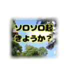 いつも使える言葉達 (2)（個別スタンプ：19）