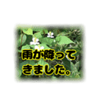 いつも使える言葉達 (2)（個別スタンプ：21）