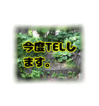 いつも使える言葉達 (2)（個別スタンプ：23）