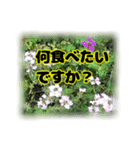 いつも使える言葉達 (2)（個別スタンプ：26）