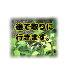 いつも使える言葉達 (2)（個別スタンプ：29）