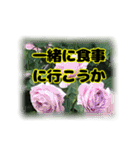 いつも使える言葉達 (2)（個別スタンプ：30）