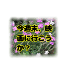 いつも使える言葉達 (2)（個別スタンプ：31）