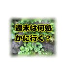 いつも使える言葉達 (2)（個別スタンプ：32）