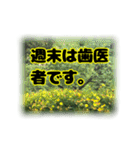 いつも使える言葉達 (2)（個別スタンプ：33）