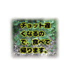 いつも使える言葉達 (2)（個別スタンプ：37）