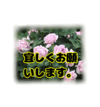 いつも使える言葉達 (2)（個別スタンプ：40）