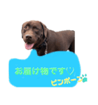 こたろう＆あおと2（個別スタンプ：4）