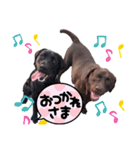 こたろう＆あおと2（個別スタンプ：5）