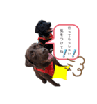 こたろう＆あおと2（個別スタンプ：7）