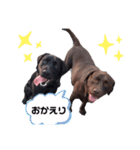 こたろう＆あおと2（個別スタンプ：8）