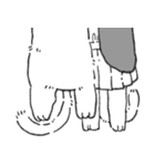 汗かきネコミミ（個別スタンプ：40）