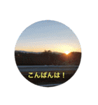 秋の挨拶（個別スタンプ：8）