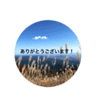 秋の挨拶（個別スタンプ：17）