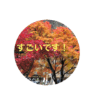 秋の挨拶（個別スタンプ：28）