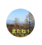 秋の挨拶（個別スタンプ：30）