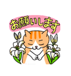 猫のドラ（個別スタンプ：6）