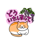 猫のドラ（個別スタンプ：7）