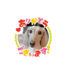 透凜くんおもしろスタンプpart2！！withはる（個別スタンプ：3）