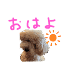 夜叉丸②（個別スタンプ：2）