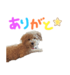 夜叉丸②（個別スタンプ：4）