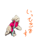 夜叉丸②（個別スタンプ：6）