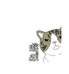 とある家の猫たち（個別スタンプ：10）