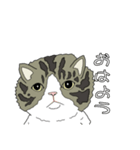 とある家の猫たち（個別スタンプ：15）